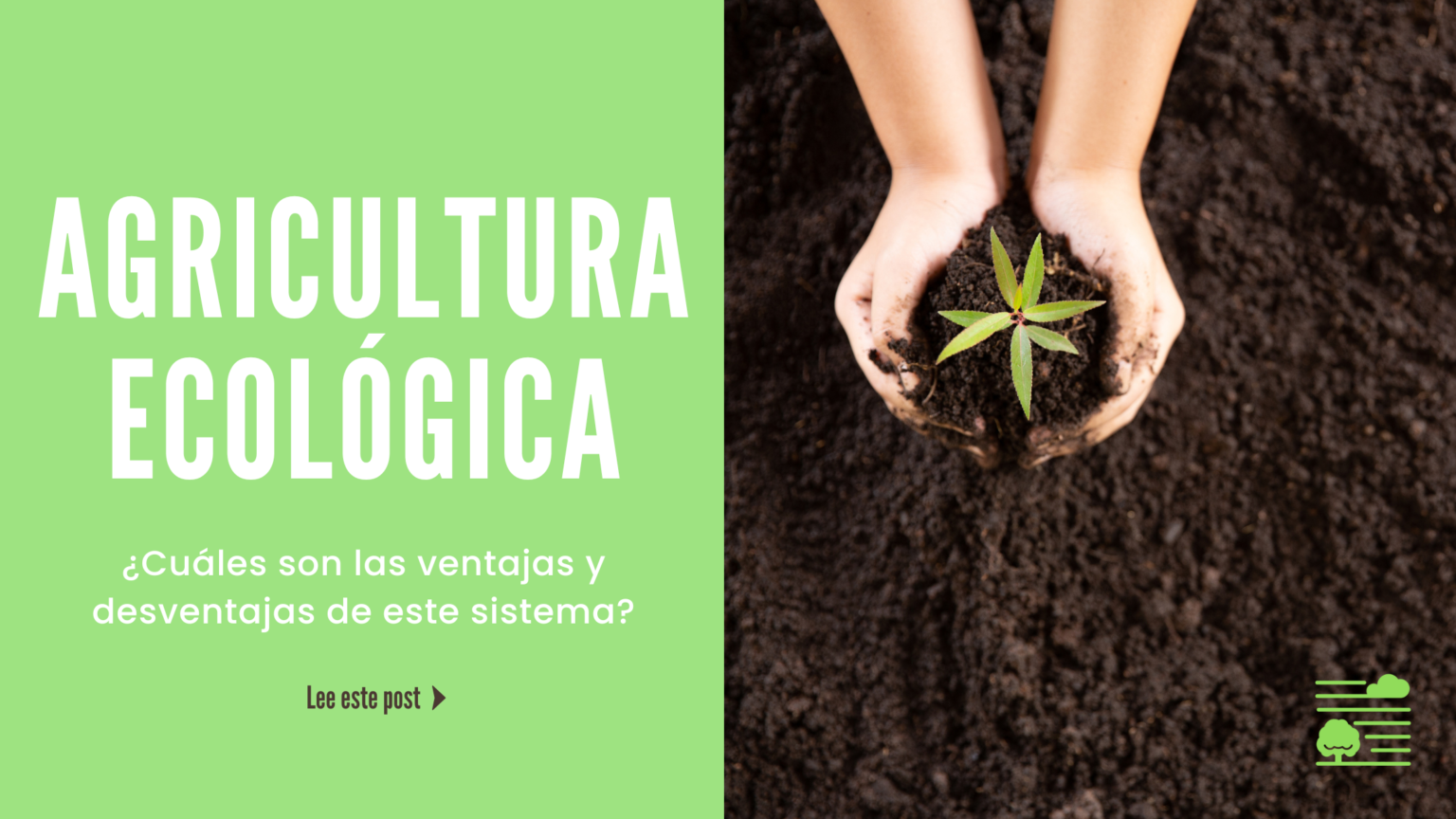 Ventajas Y Desventajas De La Agricultura Ecol Gica Aplicaci N